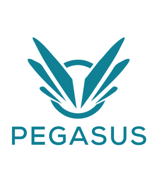 Pegasus Recovery Solutions profile image